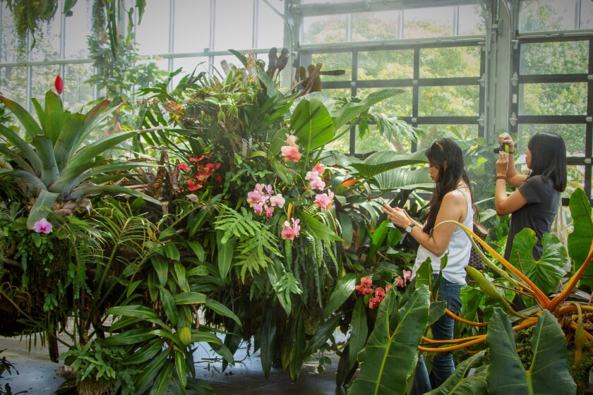 “World of Houseplants” at the San Diego Botanic Garden.