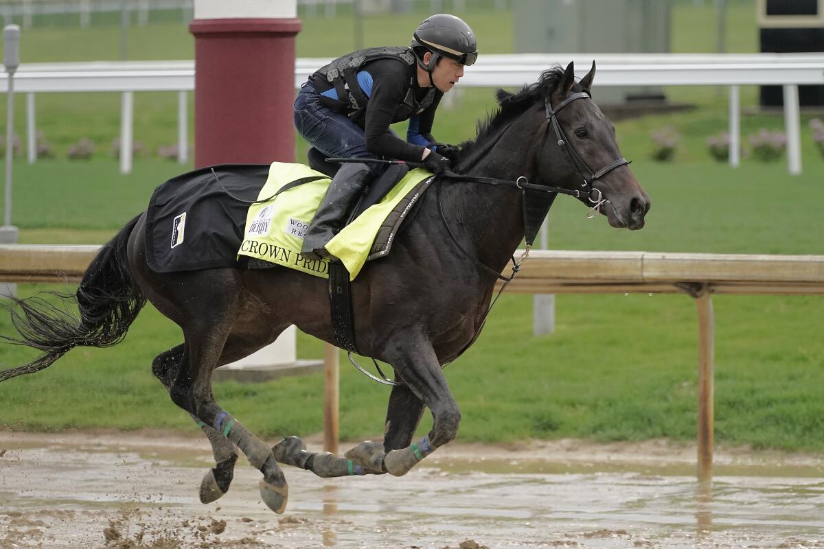 Kentucky Derby entrant Crown Pride works out at Churchill Downs on Tuesday.