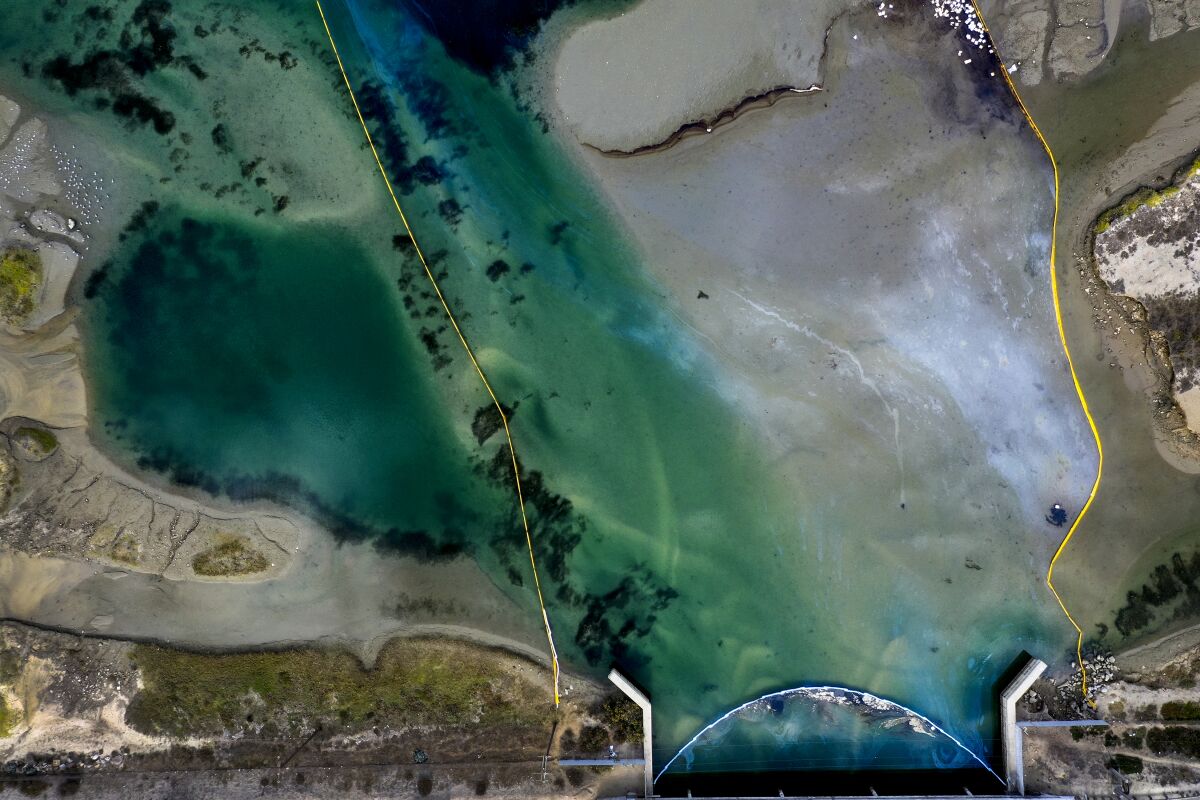 A view from above of barriers containing an oil spill near shore.
