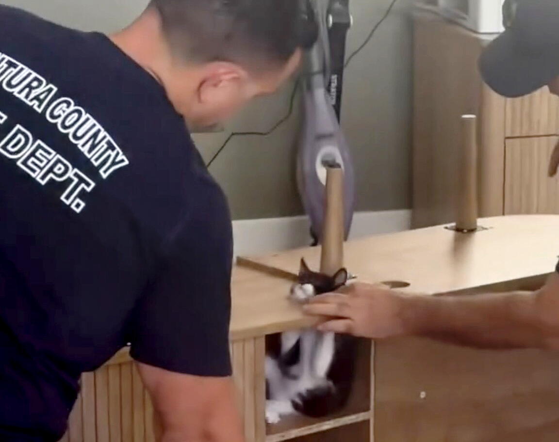 California firefighters, a trapped kitten and a collective 'aww' from the internet