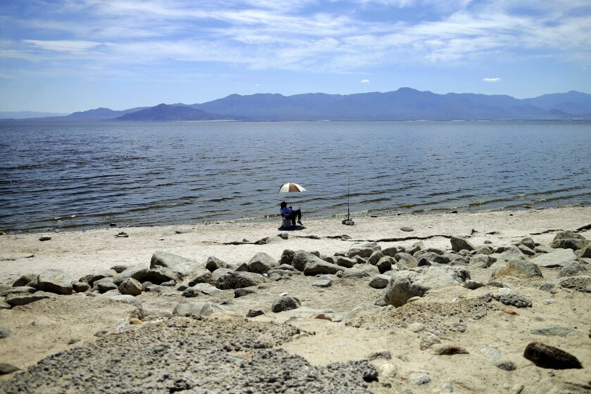 FILE - In this April 30, 2015 file photo, a man fishes along the receding banks of the Salton Sea near Bombay Beach, Calif. Scientists say that half of the world's sandy beached are at risk of disappearing by the end of the century if climate changes continues unchecked. Researchers at the European Union's Joint Research Center in Ispra, Italy, used satellite images to track the way beaches changed over the past 30 years and project how global warming might affect them in the future. (AP Photo/Gregory Bull, File)