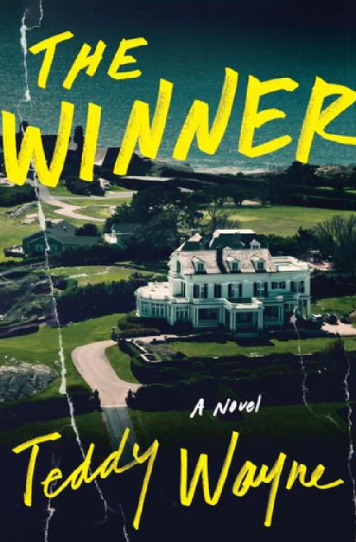 Cover of "The Winner"