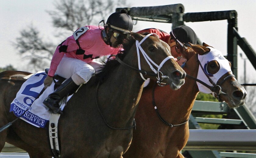 Room Service Rosalind Run Dead Even At Keeneland The San