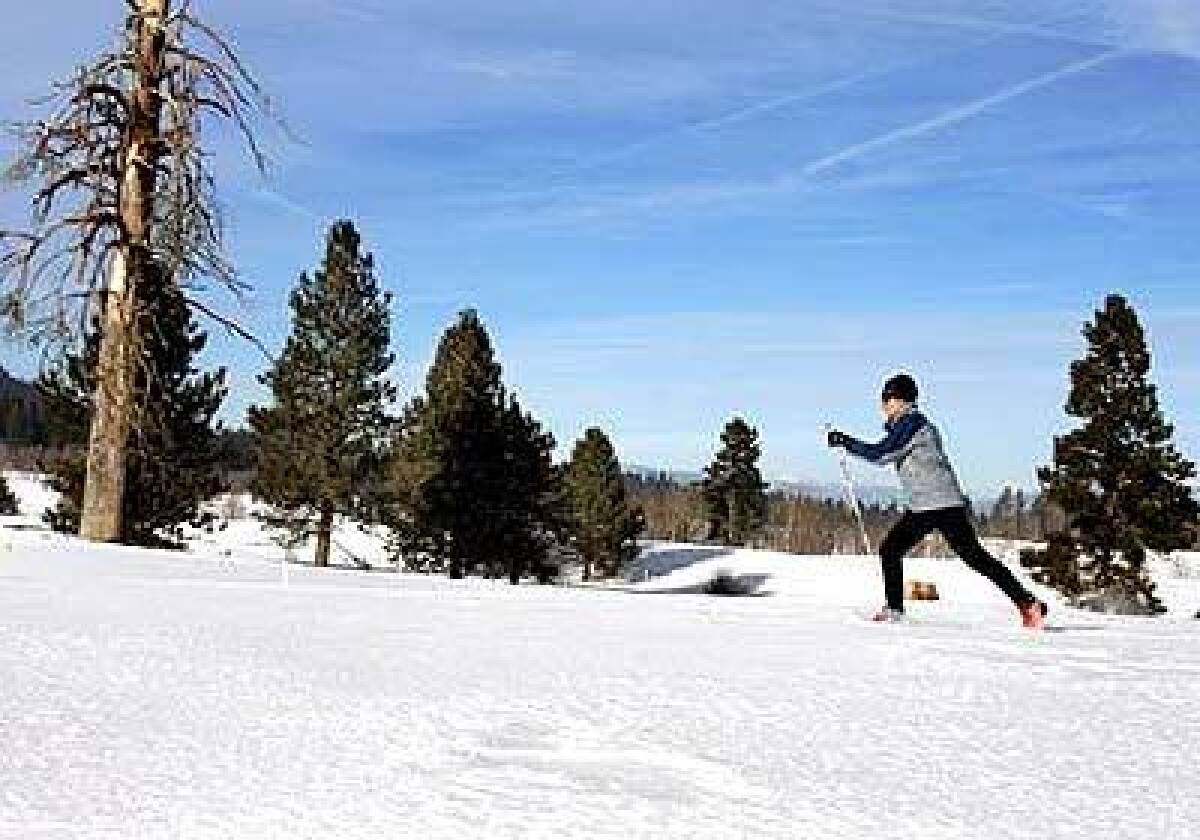 Nordic world champ Alison Bradley, a resort ski school director, glides over what in summer is a golf course.