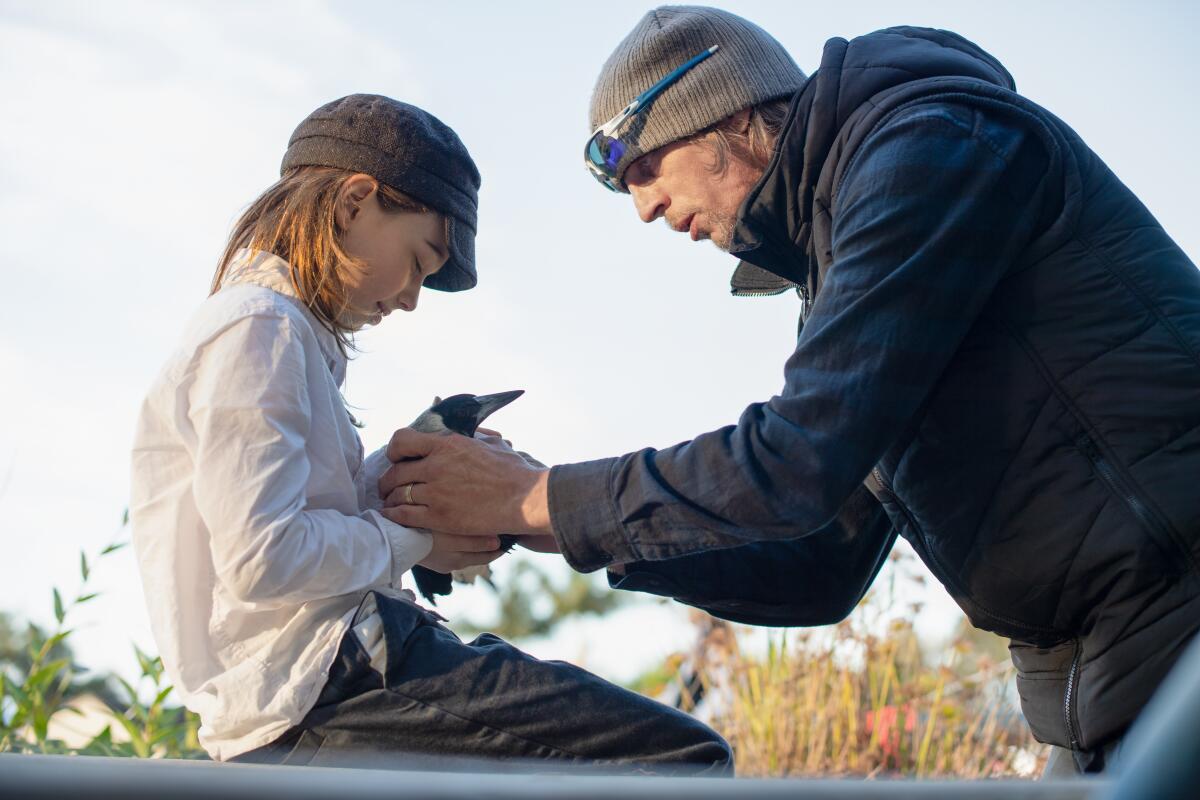 Griffin Murray-Johnston, left, and bird trainer Paul Mander bond with a wild magpie behind the scenes of "Penguin Bloom."