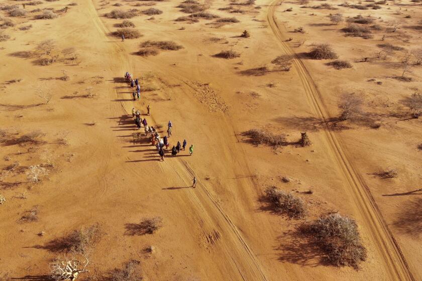 FILE - People arrive at a displacement camp on the outskirts of Dollow, Somalia, Sept. 21, 2022 amid a drought. A new report says an estimated 43,000 people died amid the longest drought on record in Somalia last year and half of them likely were children. (AP Photo/Jerome Delay, File)