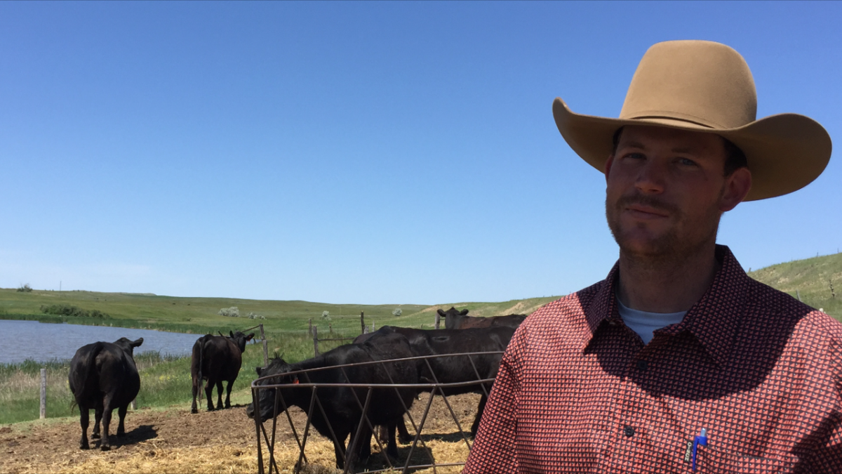 North Dakota ranch hand Jared Hatter spotted M56 spooking his father-in-law's cattle.