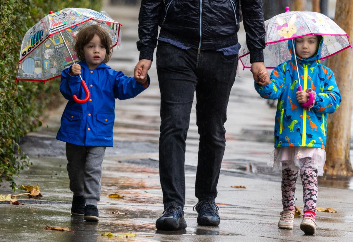  Two small children in coats and holding umbrellas hold hands with an adult.