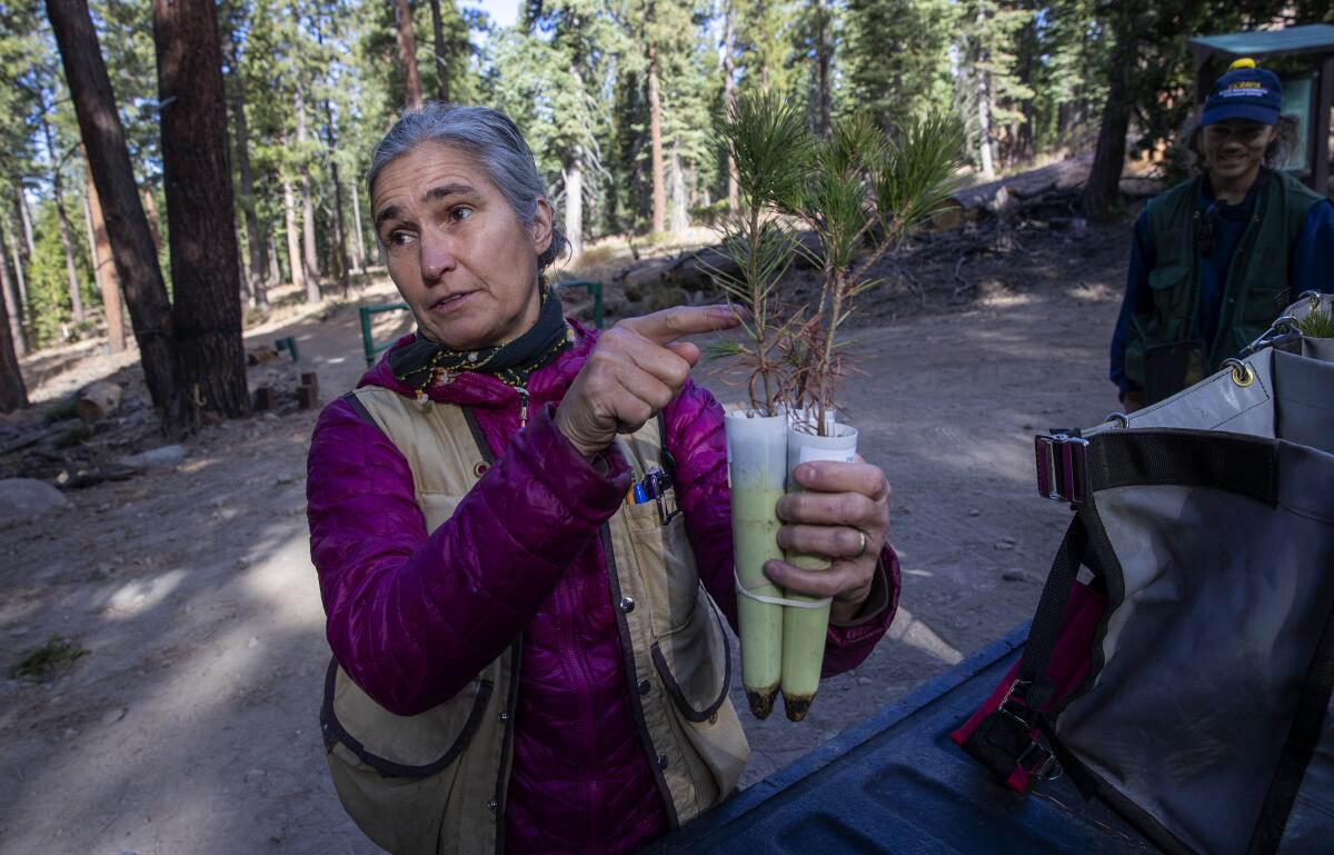 UC Davis biologist Patricia Maloney