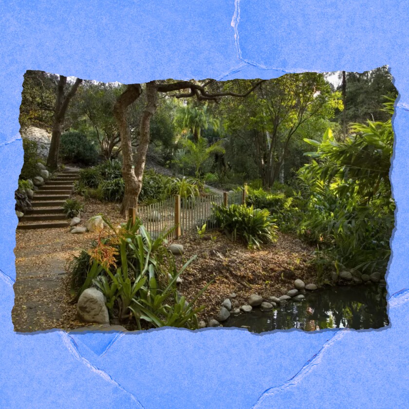 Botanic garden