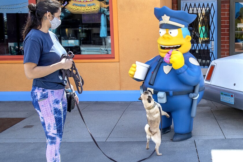 Dibs, a pug and animal actor at Universal Studios Hollywood,