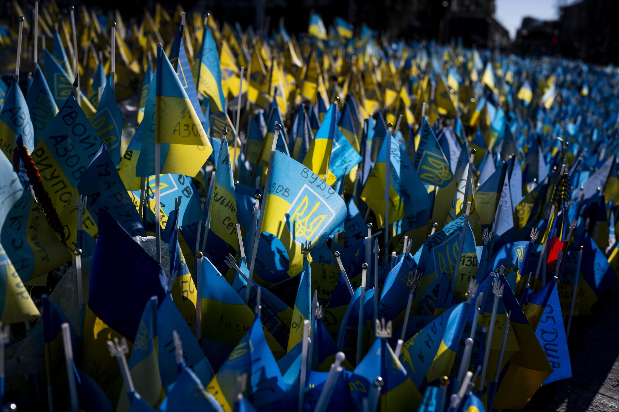 写有名字和日期的乌克兰国旗挤在黄色和蓝色的海洋中。  