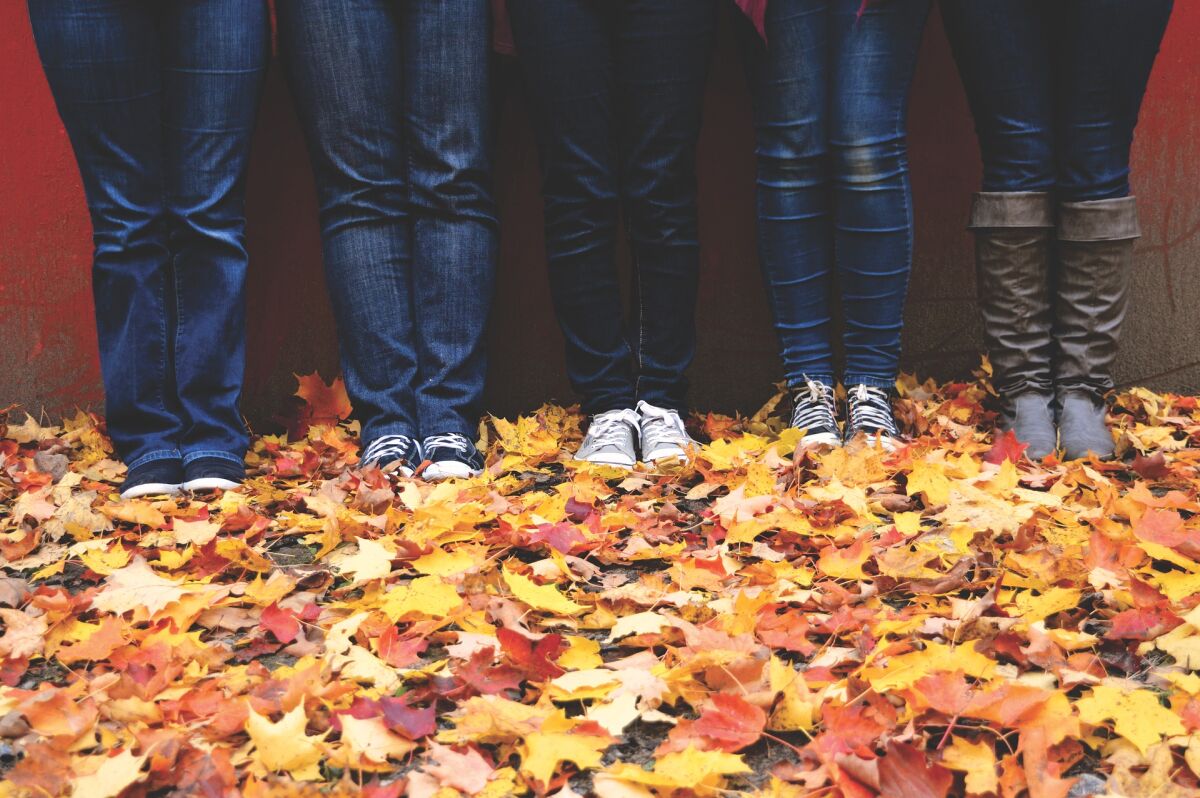 leaves