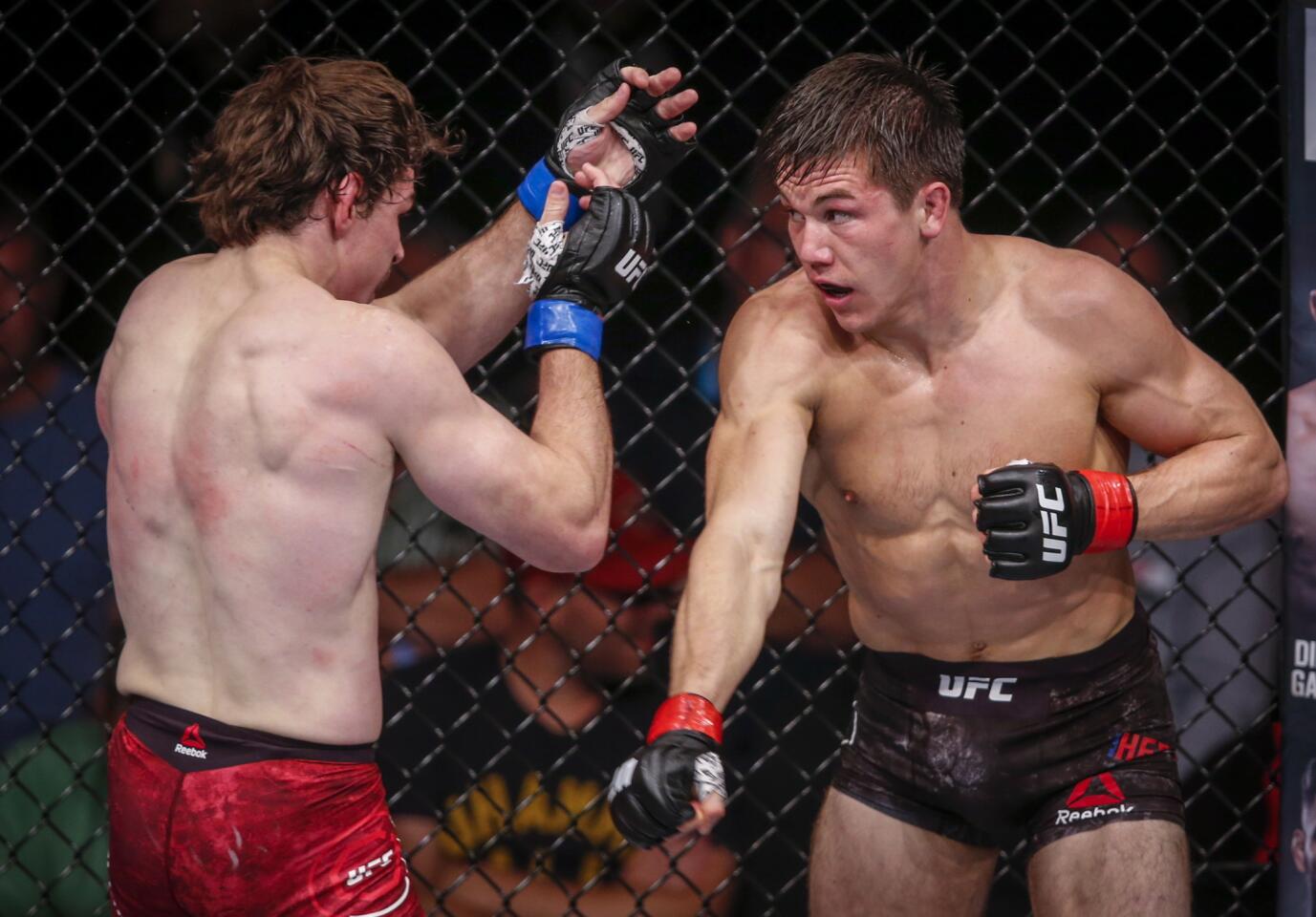 APphoto_UFC Calgary Mixed Martial Arts