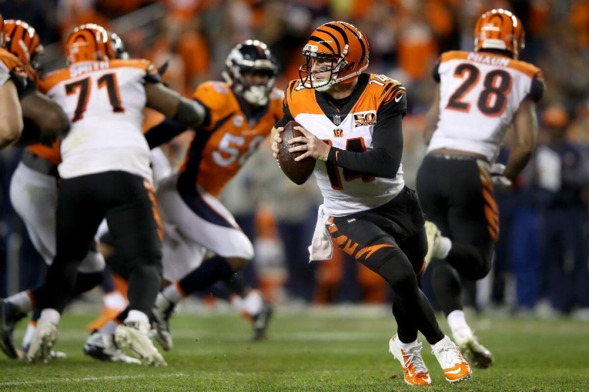 Bengals quarterback Andy Dalton looks to pass during a game against the Broncos on Nov. 19.