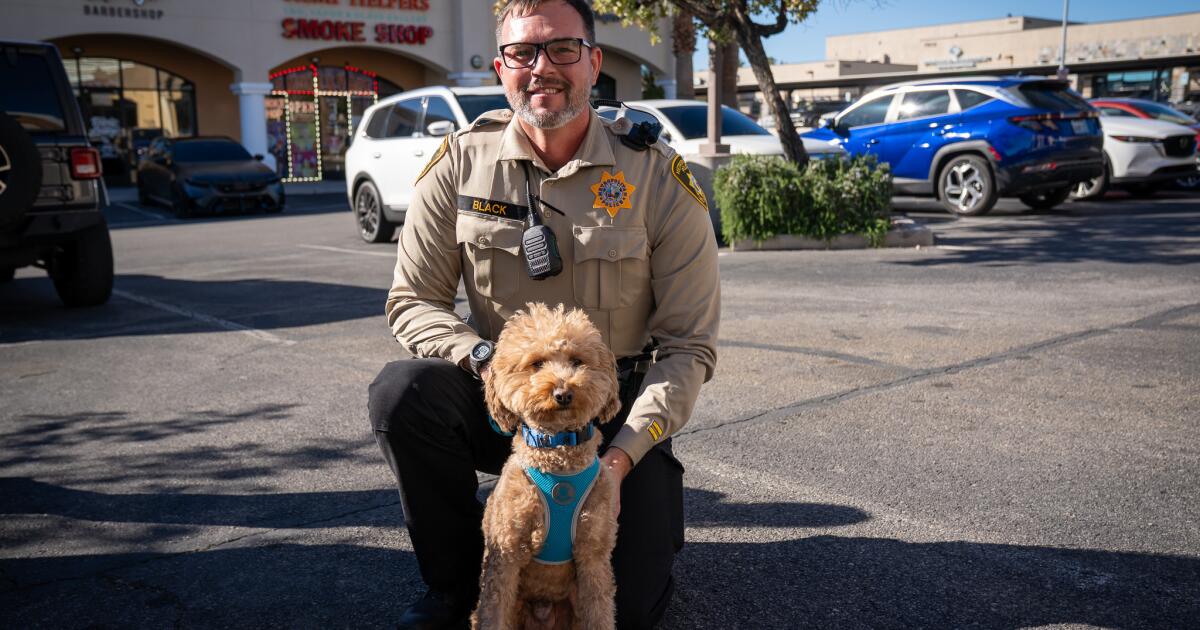 Um Goldendoodle abandonado em um aeroporto é adotado pelo policial que o resgatou