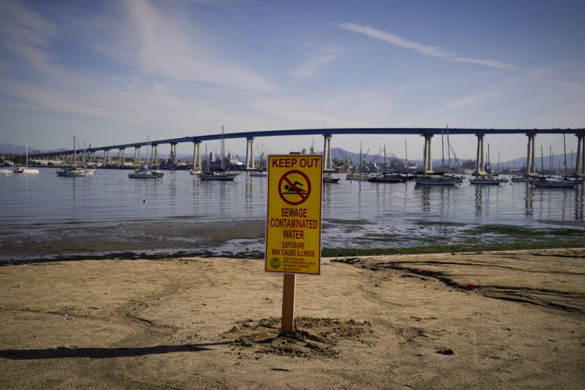 Coronado, CA - January 18: A Coronado Ferry Landing on Wednesday, Jan. 18, 2023 in Coronado, CA., posted signs at Coronado Tidelands Park warning the public of “sewage contaminated water” from the County of San Diego Department of environmental Health (Nelvin C. Cepeda / The San Diego Union-Tribune)