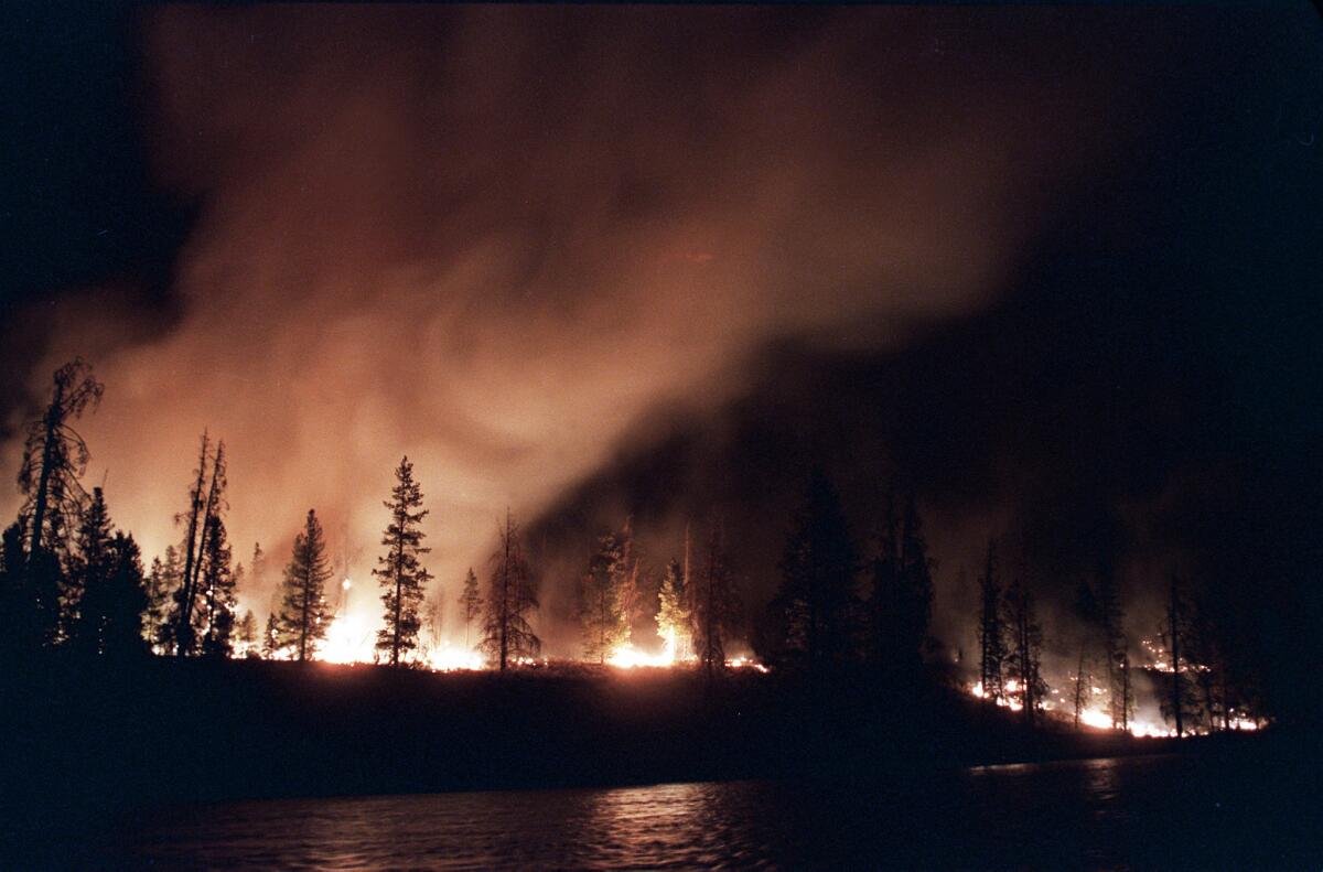 A fire blazes in Yellowstone National Park in 1988.