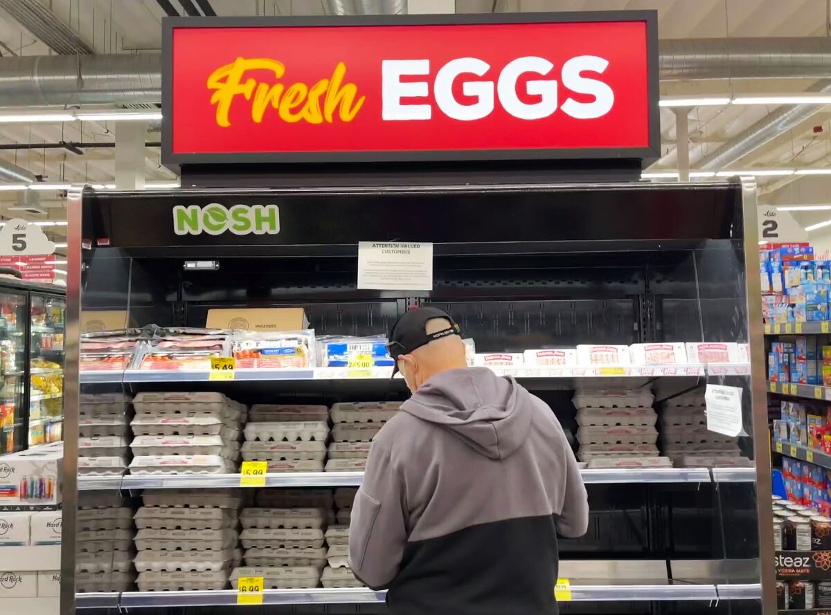 OpEd Why are California eggs so expensive? It's not just bird flu