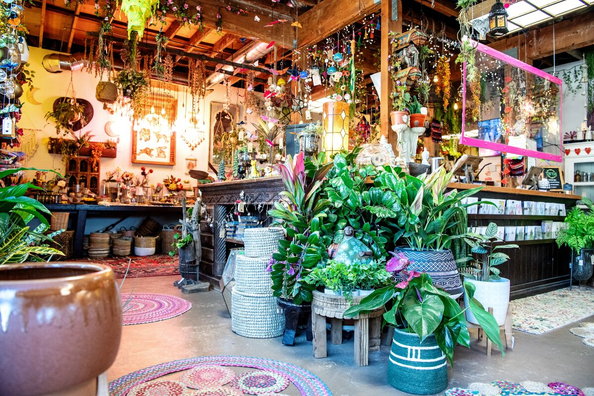 Plantas, cestas, jardineras y decoración del hogar dentro de una tienda.
