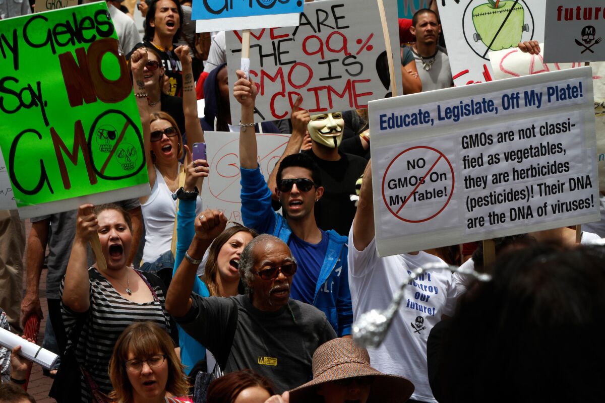 Hundreds of protesters took to the streets in downtown Los Angeles in 2013 as part of a global series of marches against genetically modified foods.