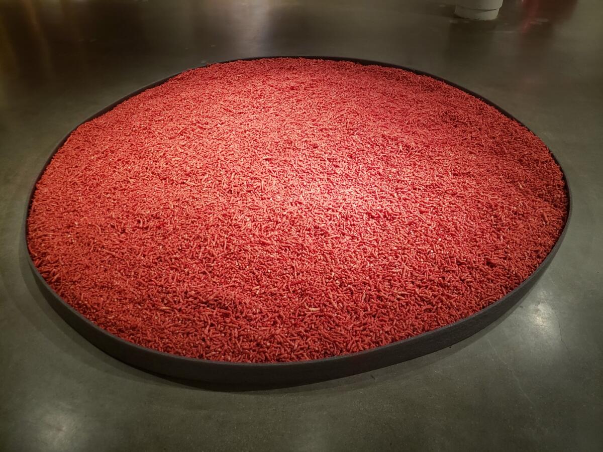 A thick circle of Flamin’ Hot Cheetos laid out flat on the floor.