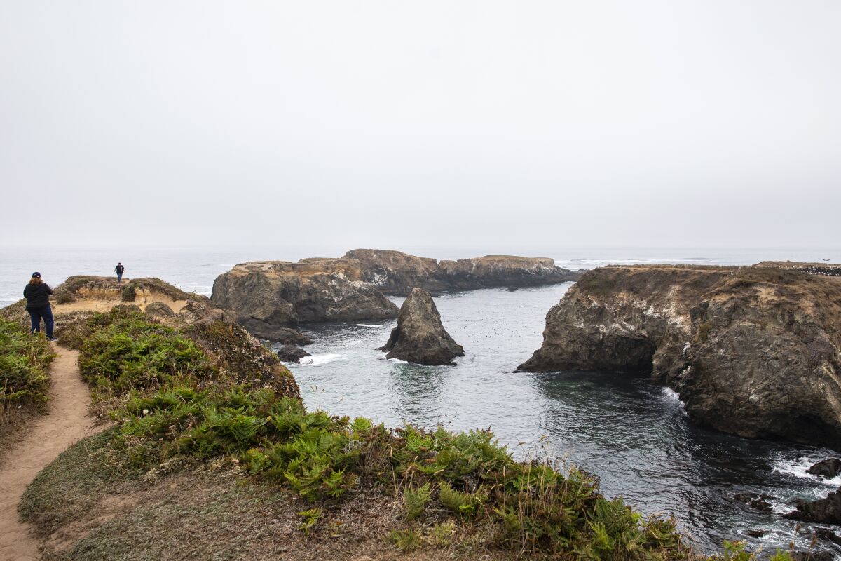 Visitors take in the sights at Mendocino Headlands State Park.