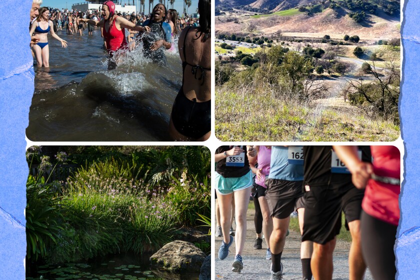 Join the Cabrillo Beach Polar Bears' swim, upper left, a hike to Inspiration Point.