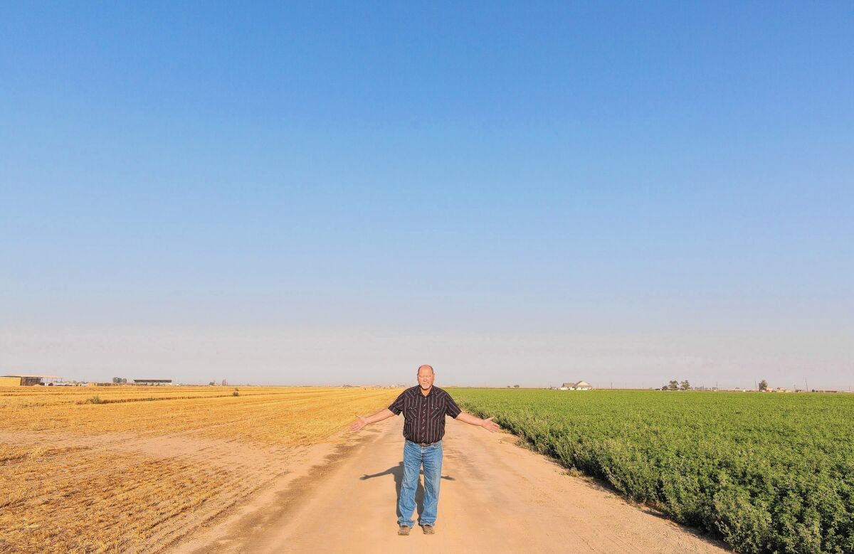 The difference between the fields on either side of dairy farmer Tom Barcellos is water.