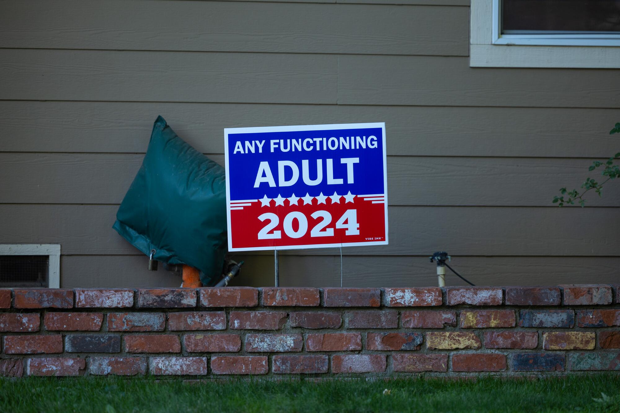 Uma placa falsa de campanha eleitoral diz "Qualquer adulto funcional 2024."