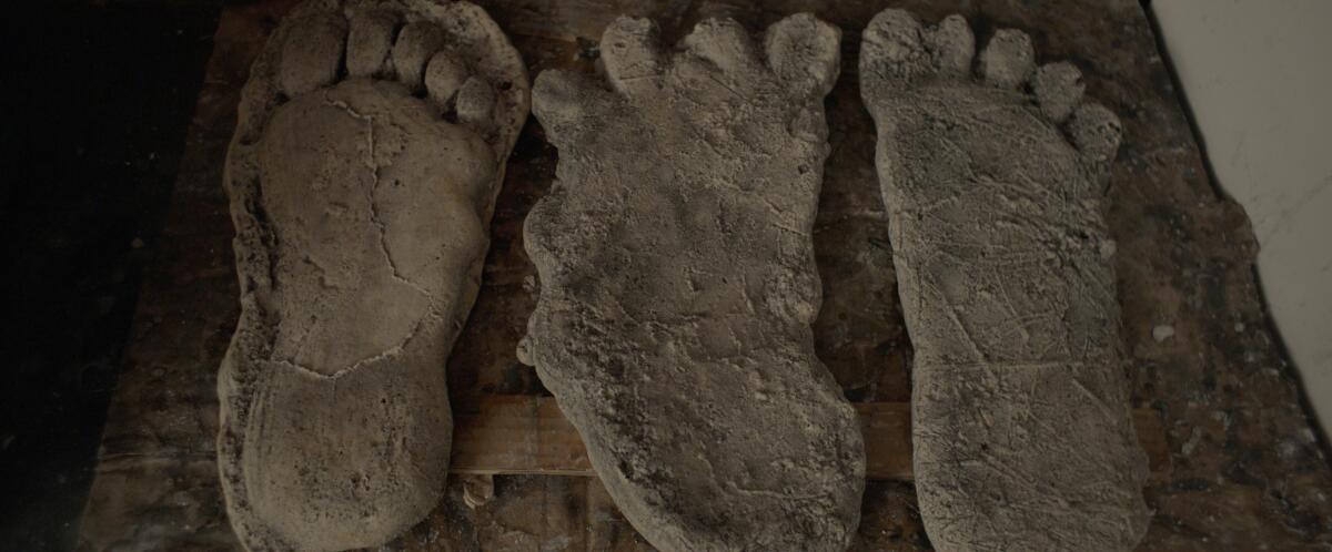 Three large footprints preserved in dirt.