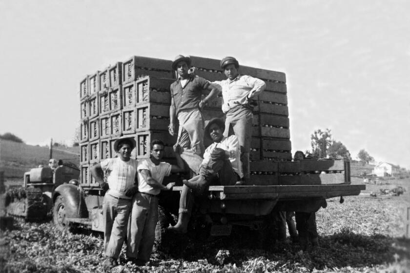 View of men posed at rear of truck partially loaded with boxes in field in about 1940s. 