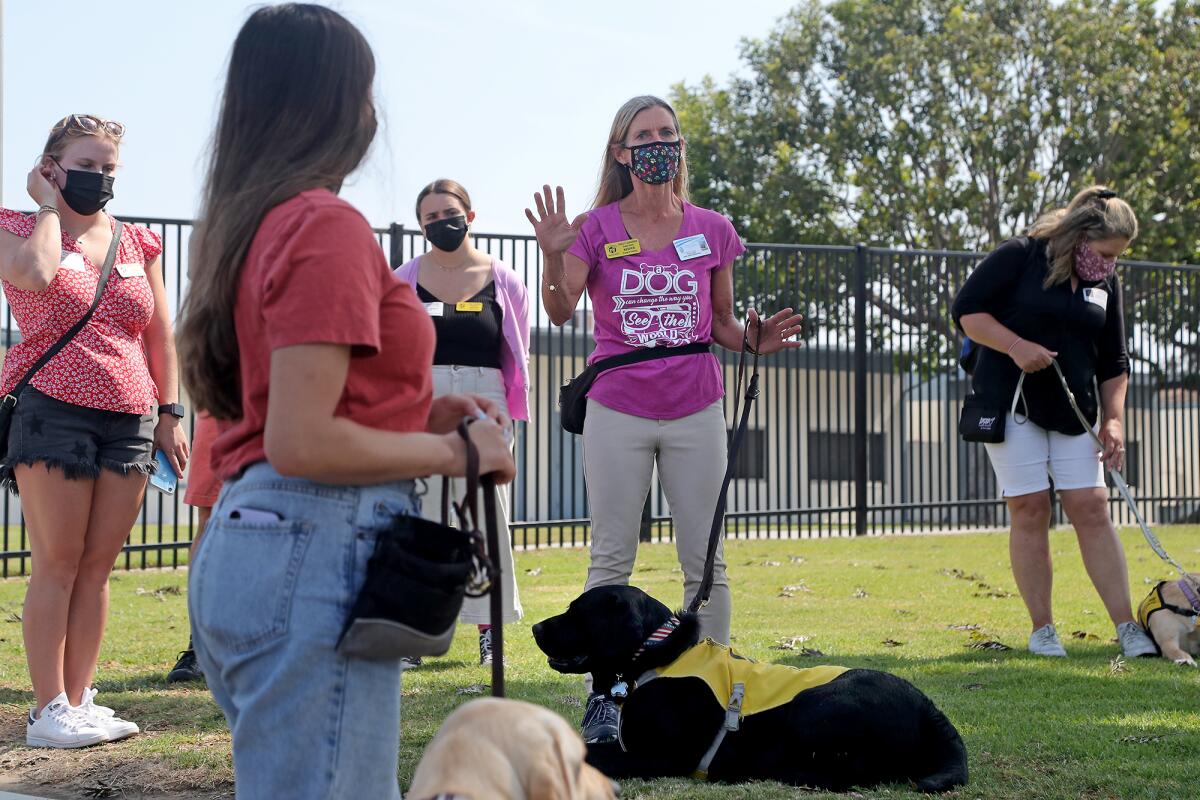 Dog handlers in Huntington Beach