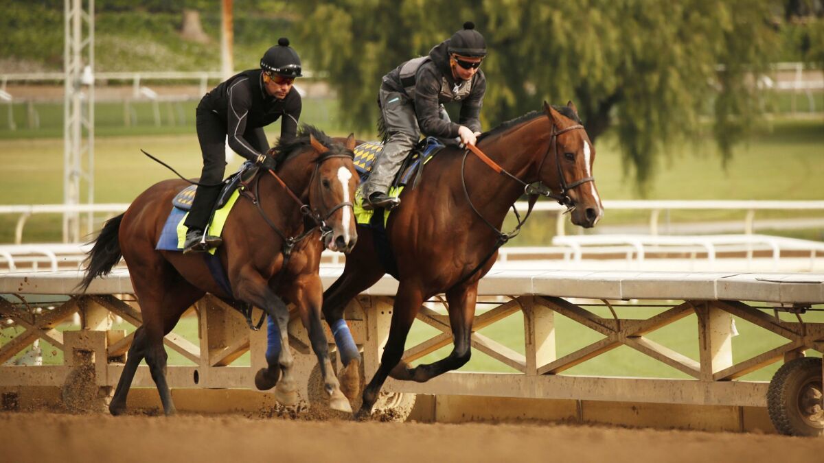 Riders and horses train Santa Anita, which is considering banning the use of whips.