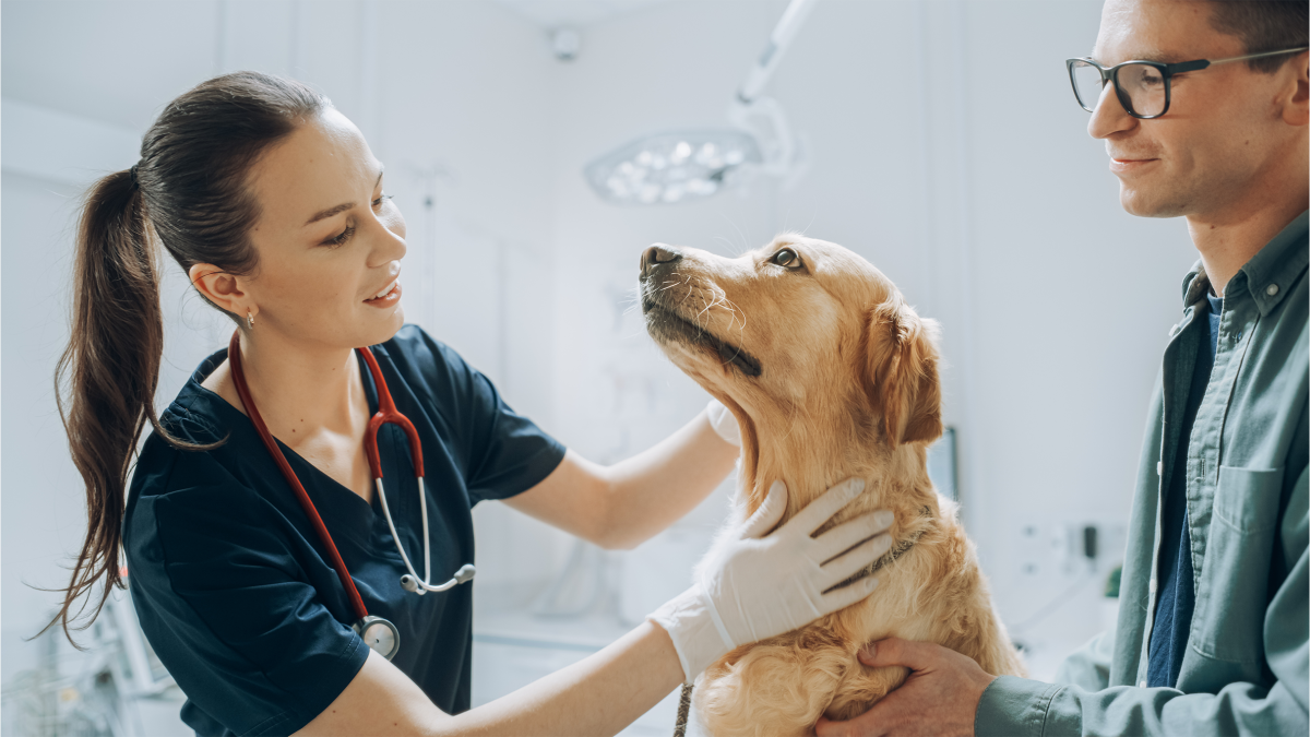 Veterinary Behaviour