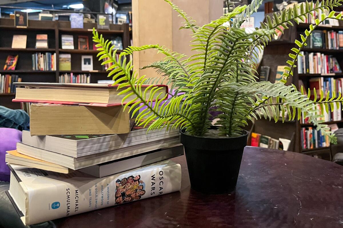 A stack of books next to a plant at a bookstore.