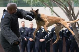 LOS ANGELES, CA - MAY 25: Los Angeles Police Department K-9 Dutch shows off his agility during a demonstration on Thursday, May 25, 2023 with LAPD canine handler Chris Jones at a ceremony to honor police service dogs killed in the line of duty. A memorial was unveiled at the LAPD headquarters. (Myung J. Chun / Los Angeles Times)