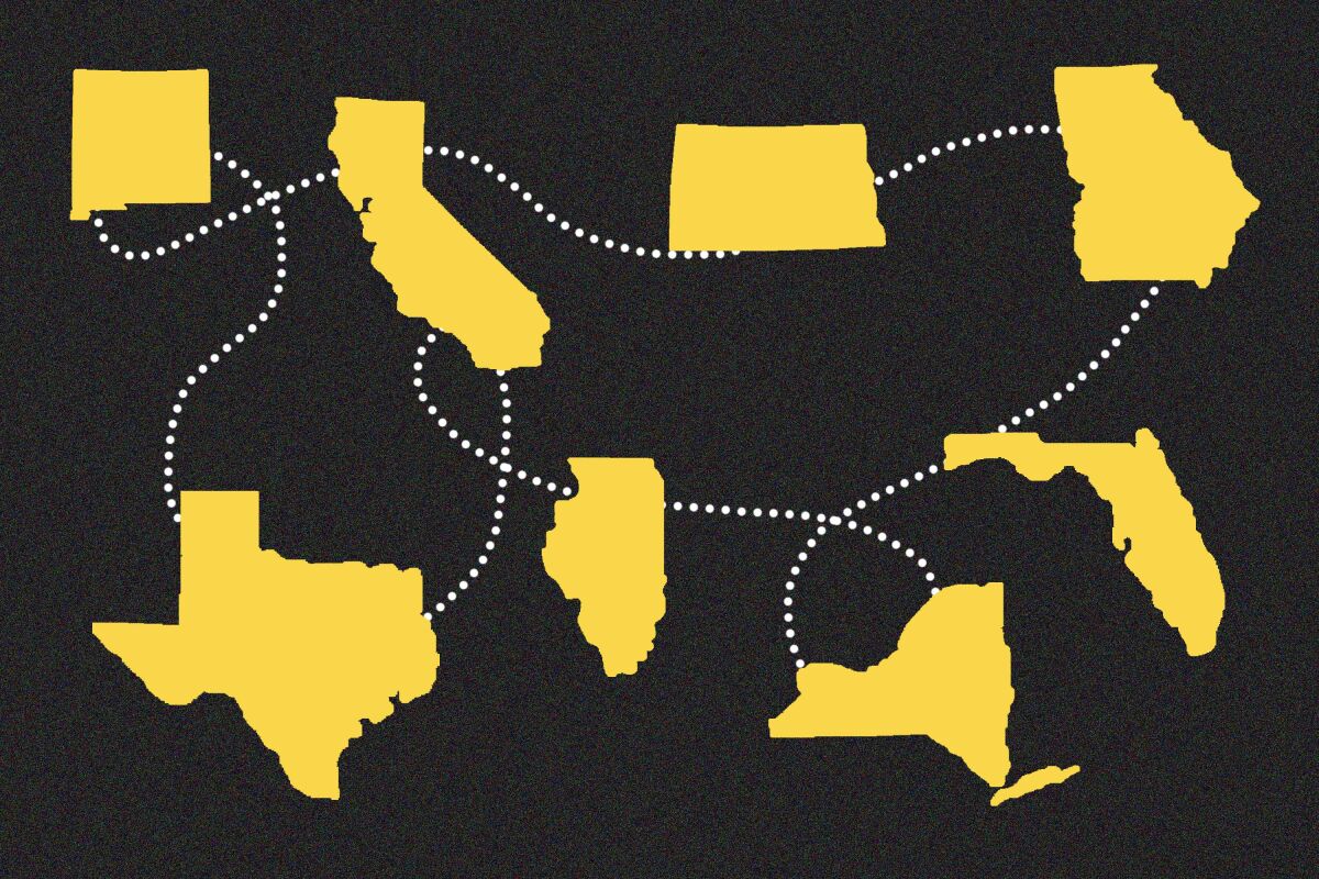Clockwise from top left are New Mexico, California, North Dakota, Georgia, Florida, New York, Illinois Texas