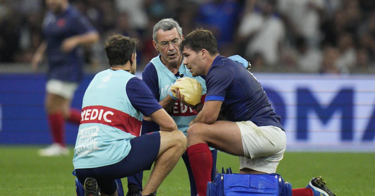 Le Français Dupont « fait de son mieux » après une blessure lors de la Coupe du monde de rugby