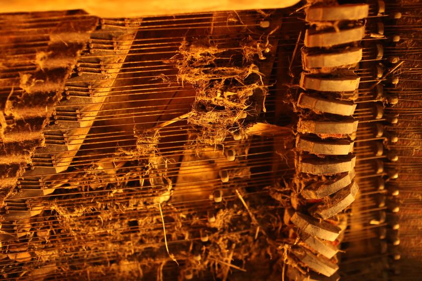 Malibu, CA - March 09: The inside of a 149-year-old piano at Dirk Braun gallery on Saturday, March 9, 2024 in Malibu, CA. (Michael Blackshire / Los Angeles Times)