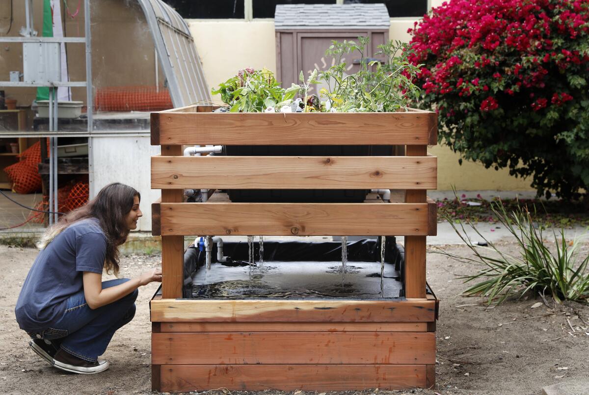 A person crouches next to a small redwood structure in a home's backyard.