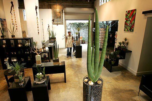 By Debra Lee Baldwin Felix Navarro recently opened the Juicy Leaf, a Venice store named for the sculptural succulents that characterize his designs.