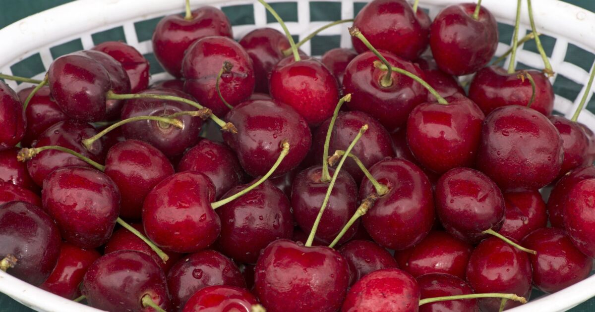 Farmers market report: Cherries are in season. We have recipes
