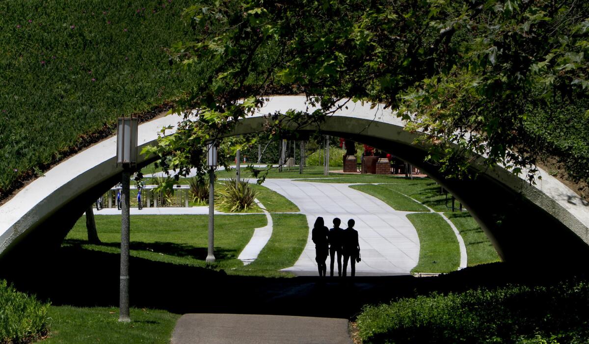 The UC Irvine campus in 2010. Students voted to ban the American flag and other banners from an area of campus.