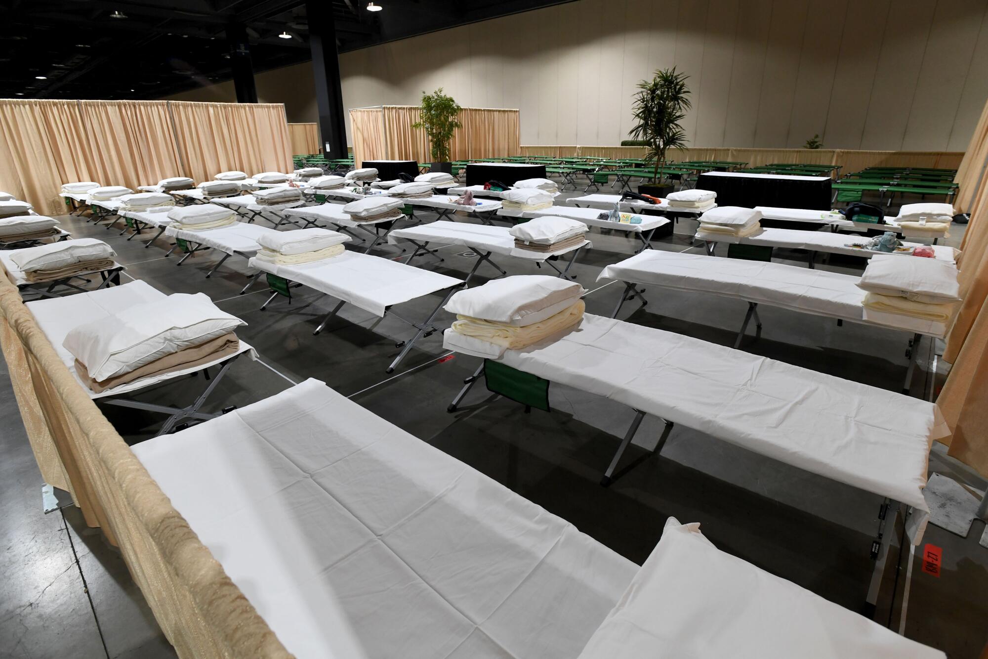 Rows of cots with pillows and blankets