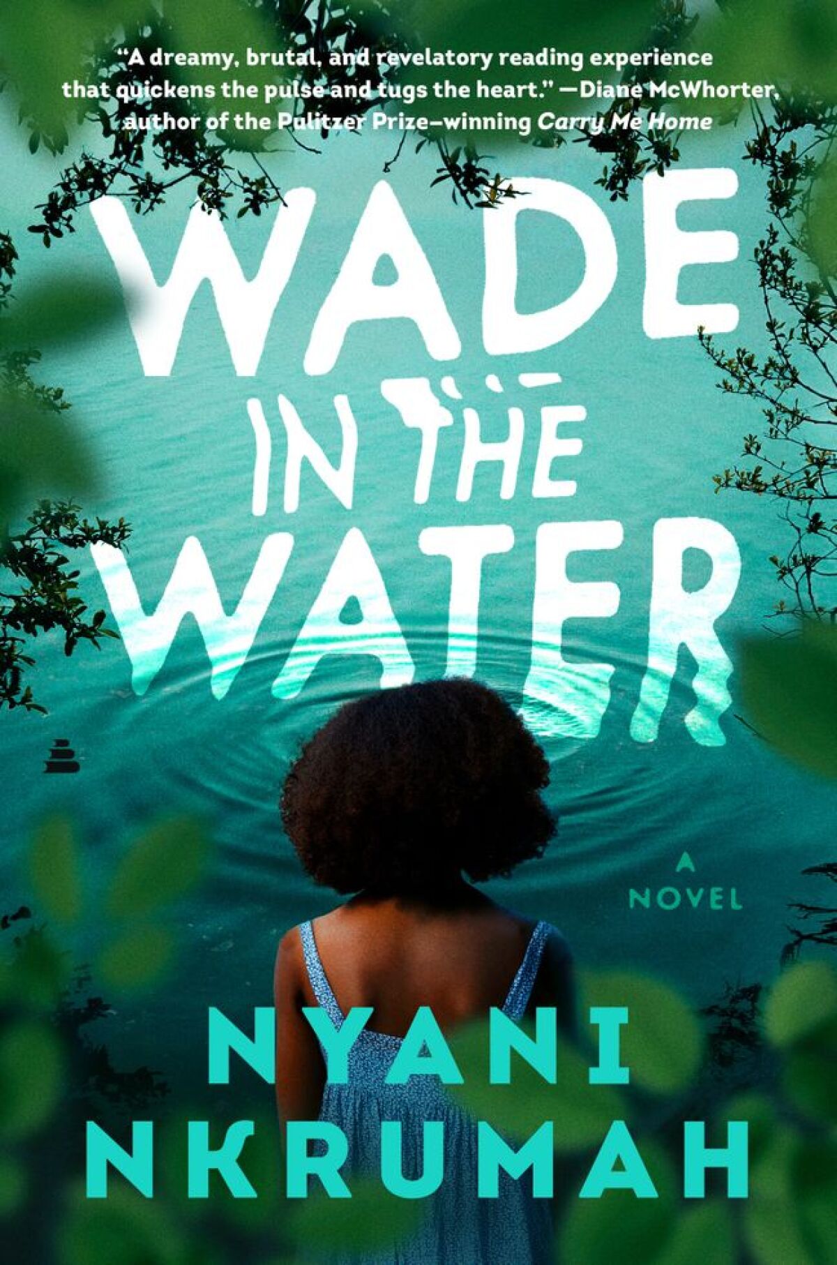 'Wade in the Water,' by Nyani Nkrumah