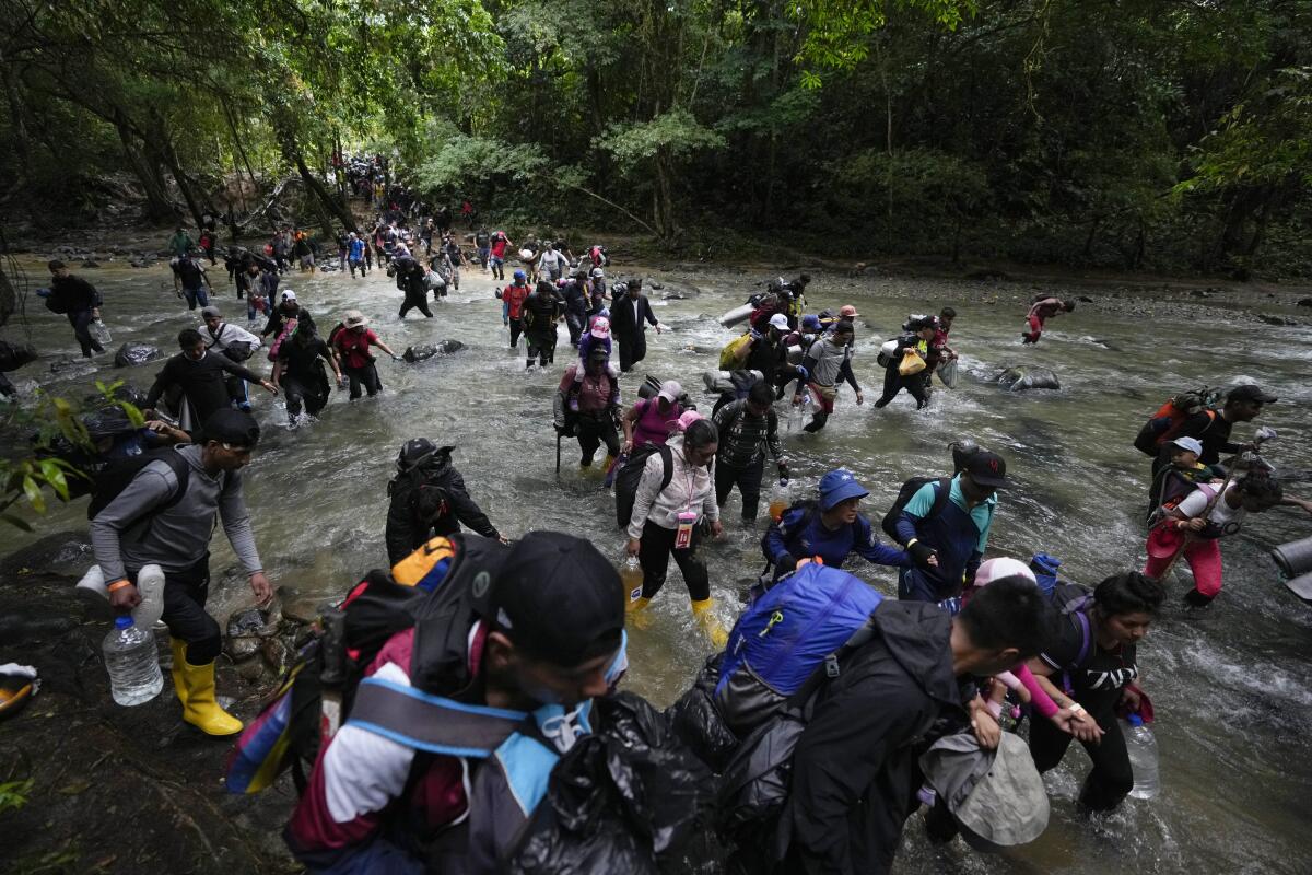 Dozens of people carrying luggage cross a river in the forested Darien Gap.