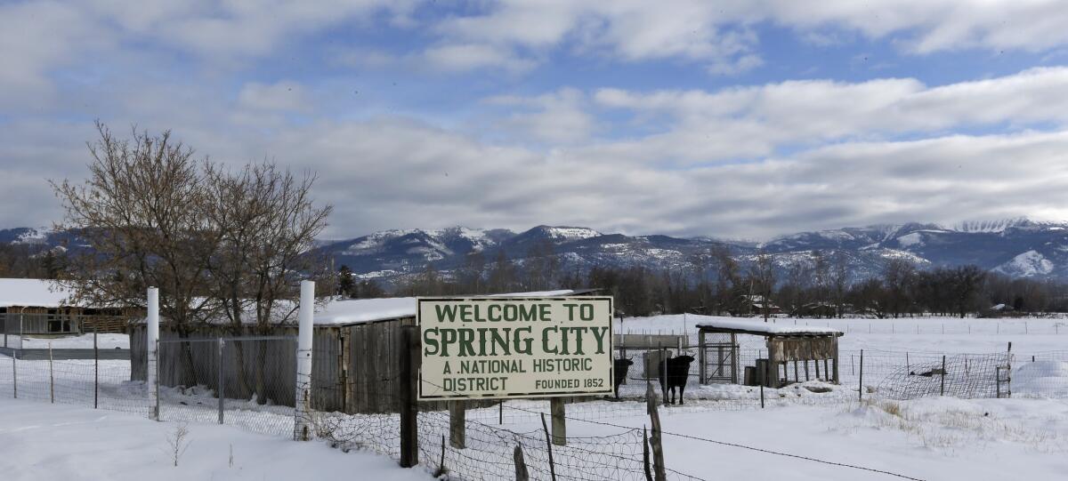 The city council of Spring City, Utah, would like to see all citizens of the town arm themselves.