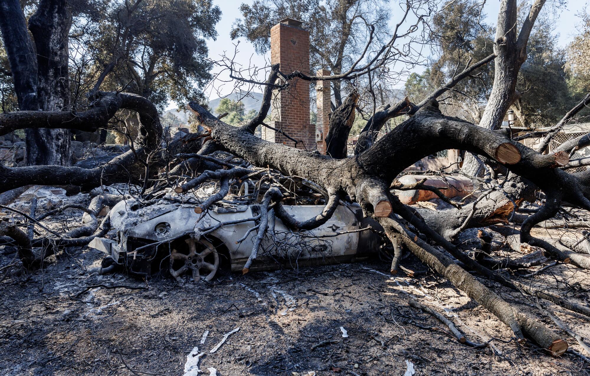 A car is crushed by a fallen tree in front of a home destroyed by the Airport fire in El Cariso Village.