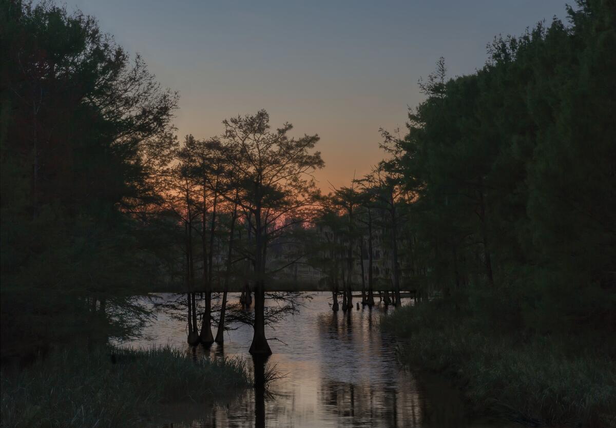 "Grant Parish, Louisiana," from Jeanine Michna-Bales' "In Through Darkness to Light: Photographs Along the Underground Railroad." (Jeanine Michna-Bales)